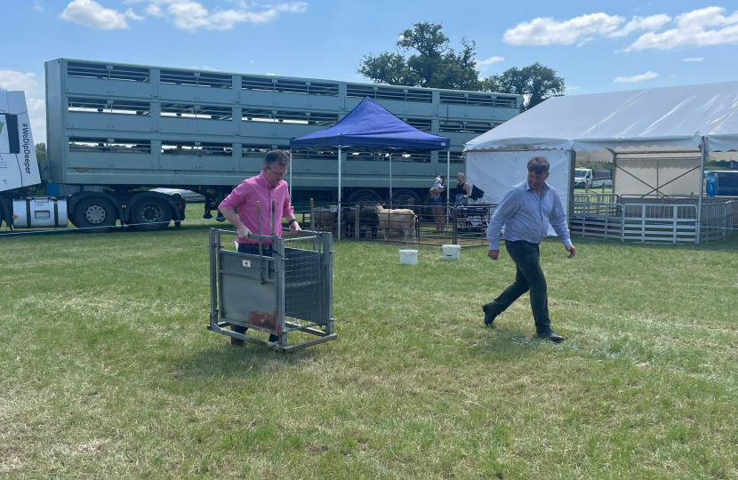 Kenilworth Show 