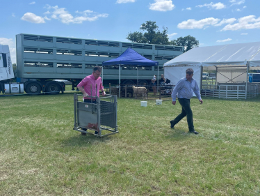 Kenilworth Show 